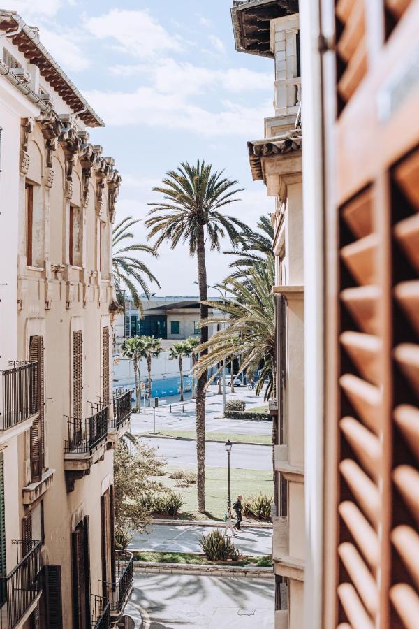 Apartment Ocho Suites&kitchen Palma